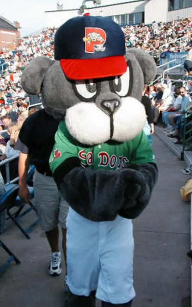 Portland Sea Dogs mascot.