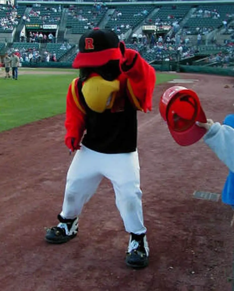 Rochester Red Wings mascot.