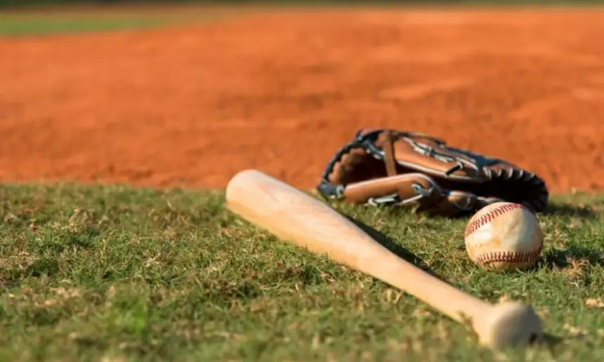 MLB Bat lying on the green.