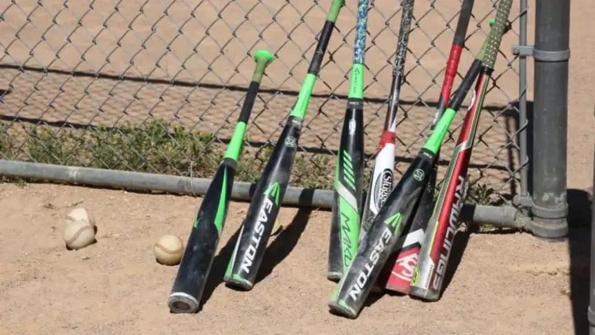 Baseball bats leaning against a fence.