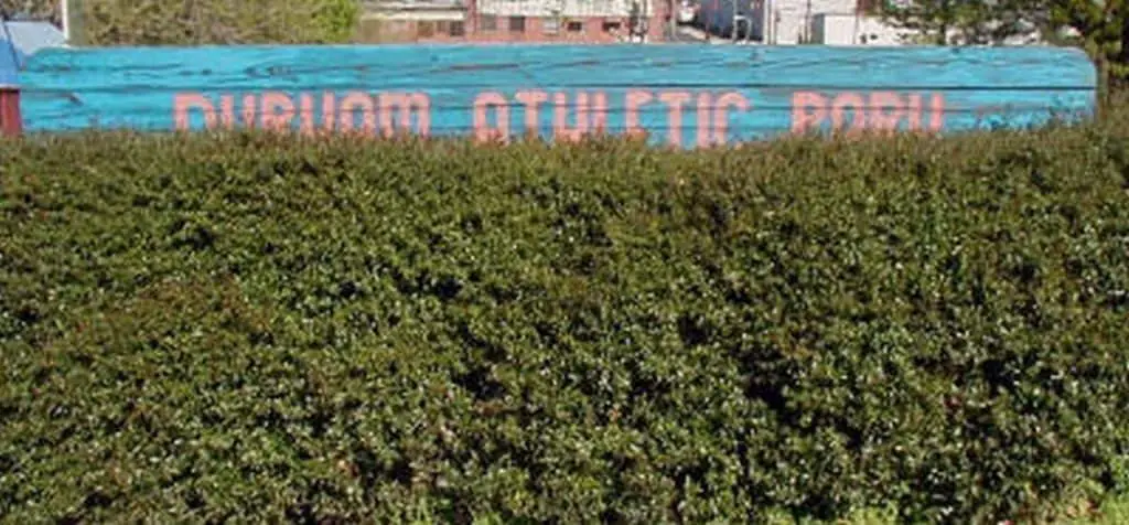 Durham Athletic Park sign with greenery in the foreground.