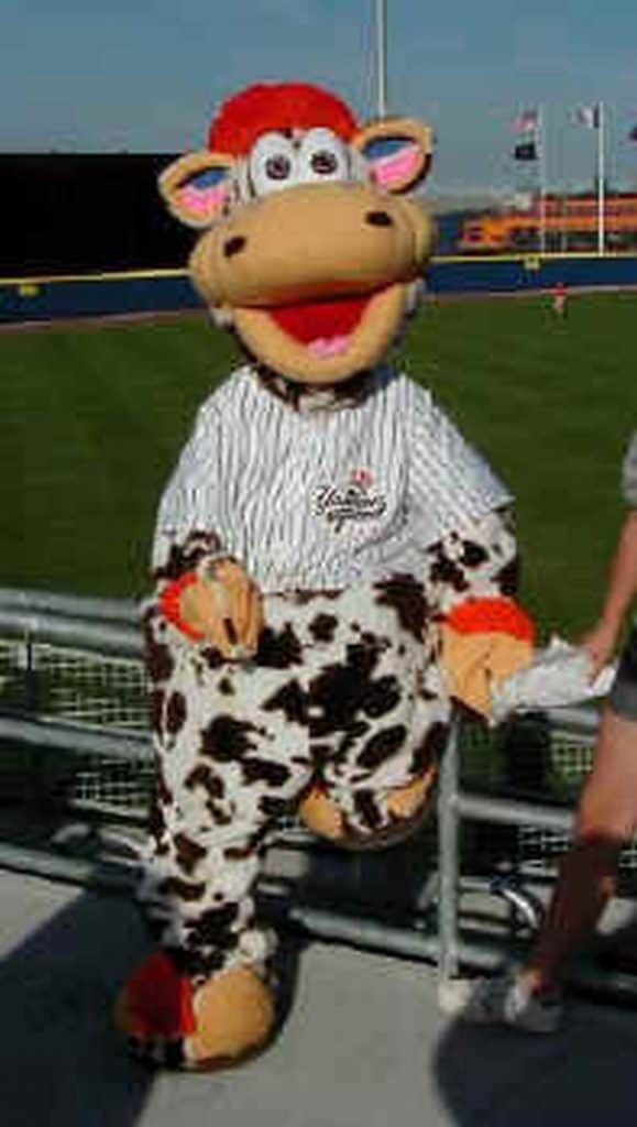 Staten Island Yankees mascot with baseball field in background.