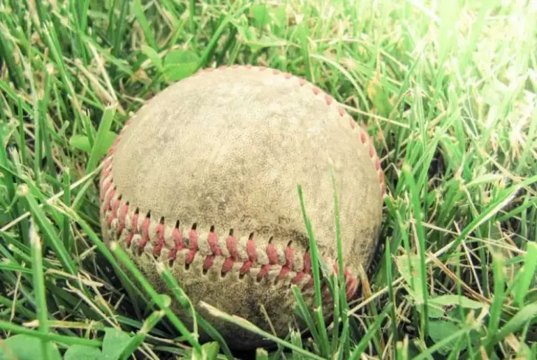 Baseball lying in the grass.