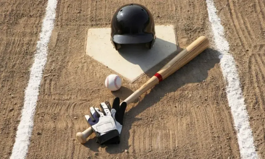 Wood bat and other baseball equipment at home plate.