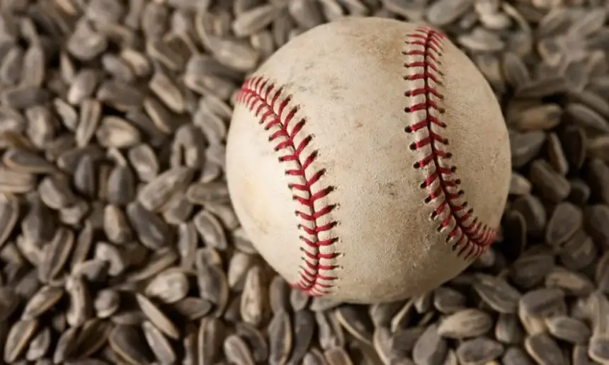 Baseball lying on sunflower seeds.