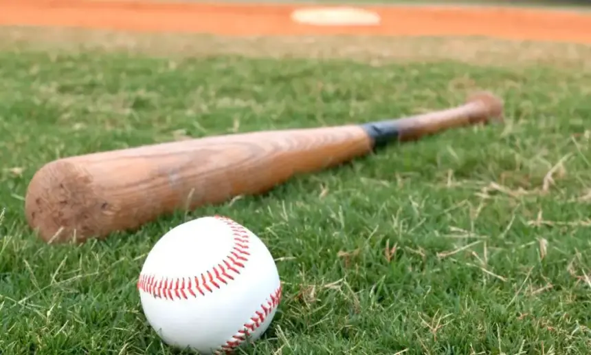 Old wooden baseball bat and ball lie on the grass.