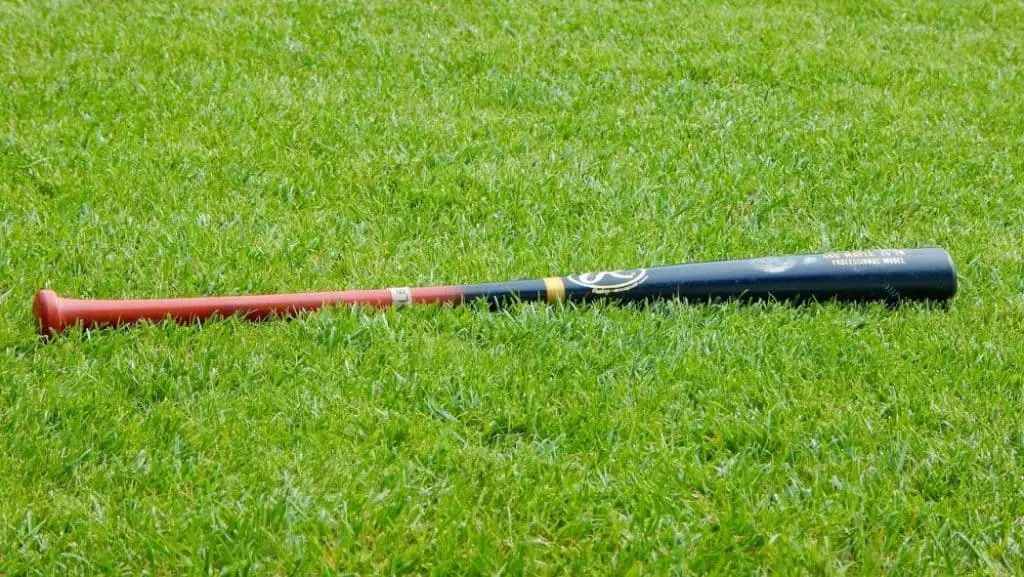 Fungo bat lying in the grass.