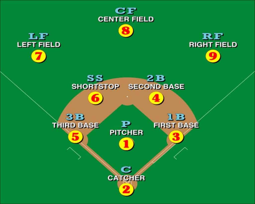 Infographic about the positions in baseball and softball.