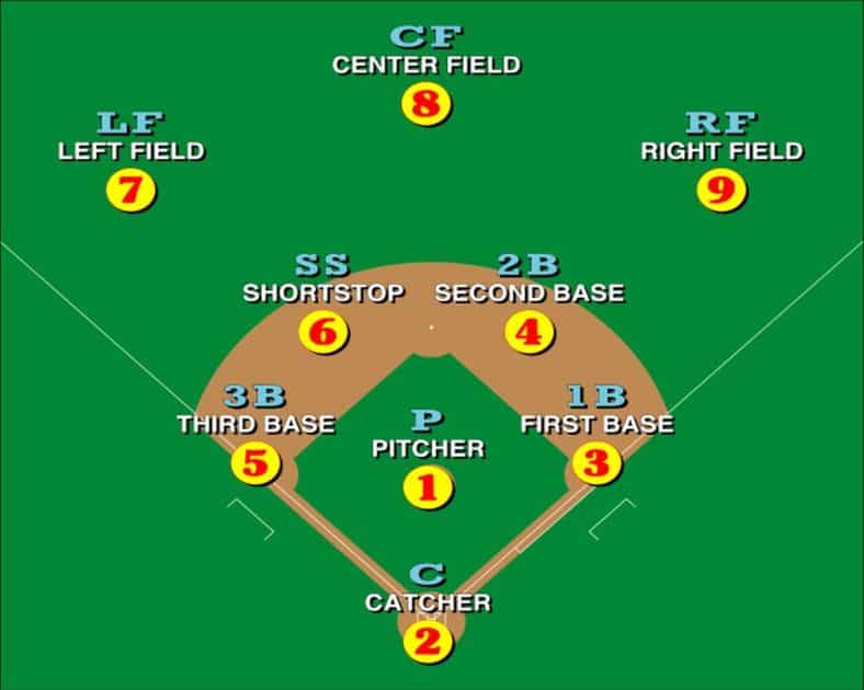 baseball-positions-in-order-of-importance-ranking-reasons-little-ballparks