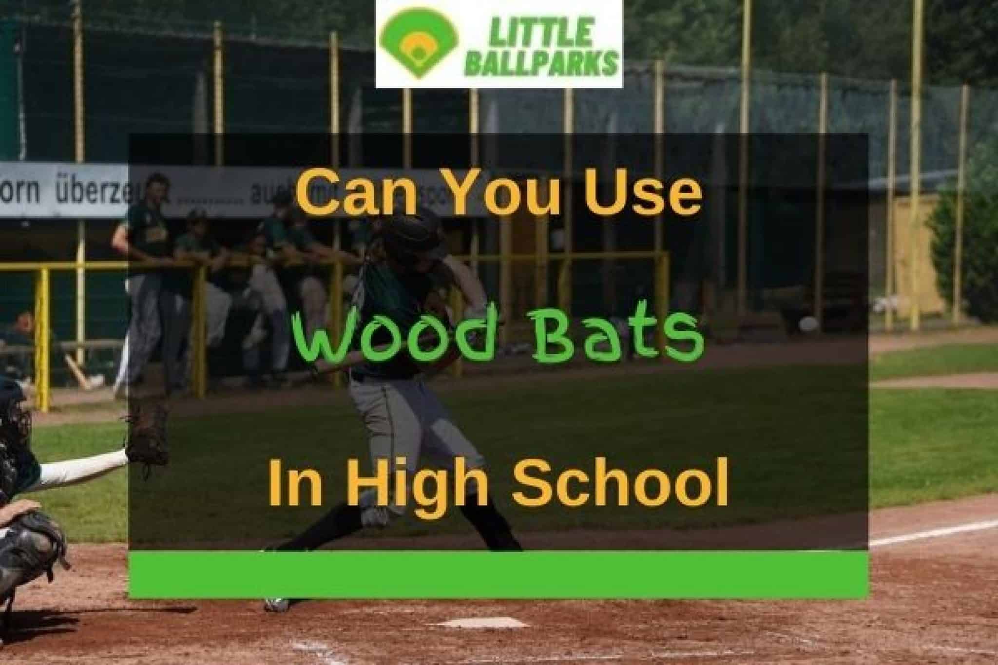 homepage-little-ballparks