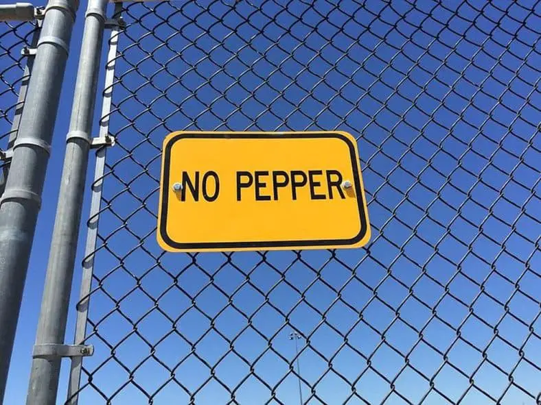 What Does No Pepper Mean In Baseball Answered Little Ballparks