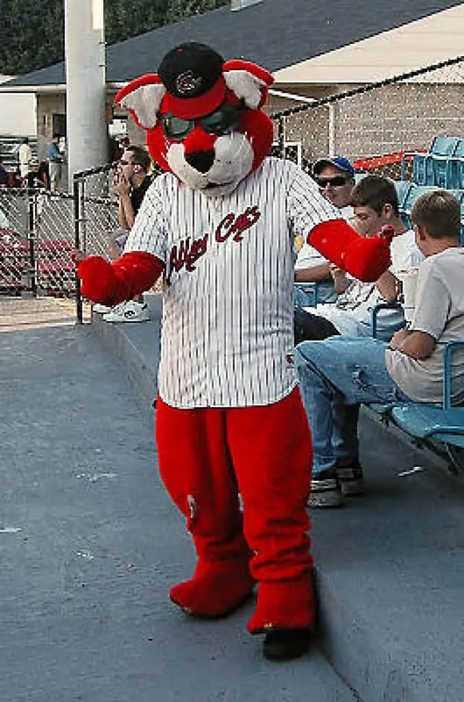 Mascot of the Charleston Alley Cats.
