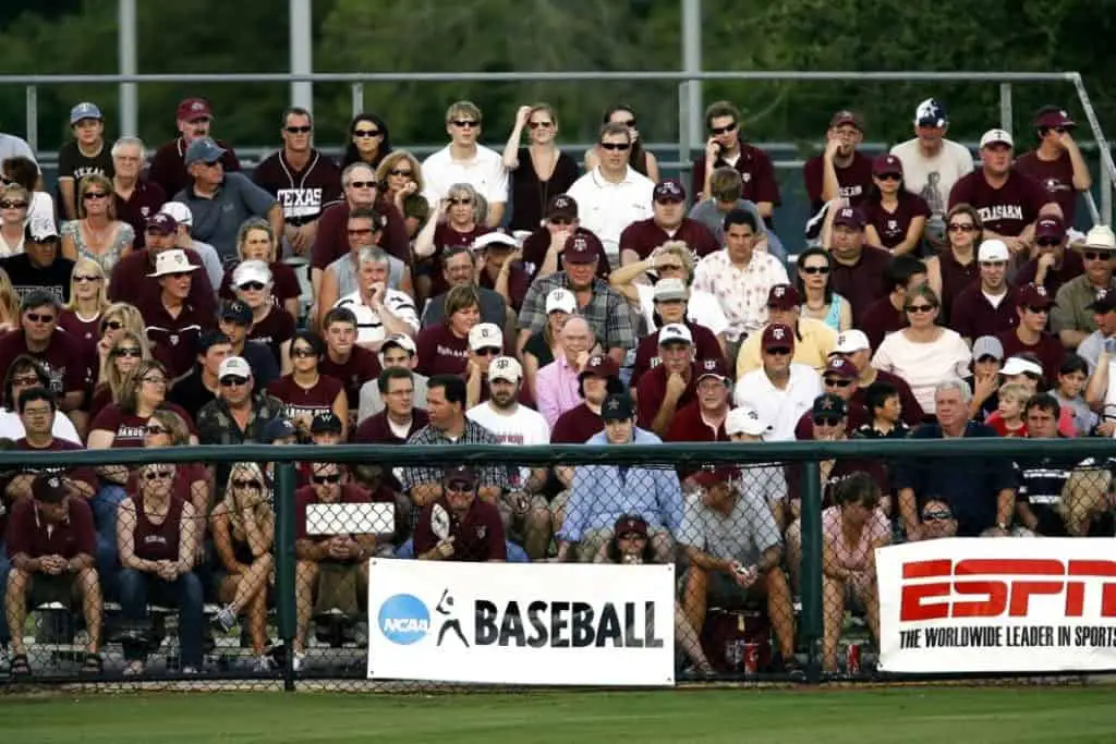 Spectators at a baseball game.