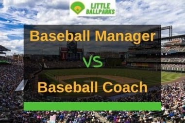 Baseball Manager vs Coach – What’s The Difference?