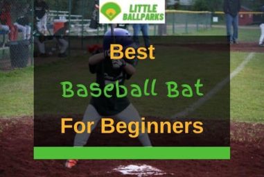 6 Best Baseball Bats For Beginners In 2022