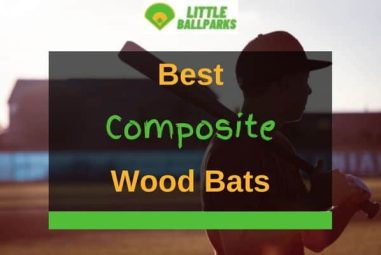 6 Best Composite Wood Bats In 2023