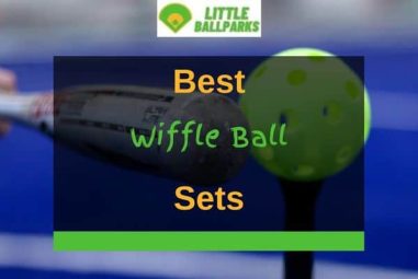 7 Best Wiffle Ball Sets In 2022