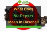What Does No Pepper Mean In Baseball? (Answered!)