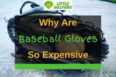 Why are Baseball Gloves So Expensive?