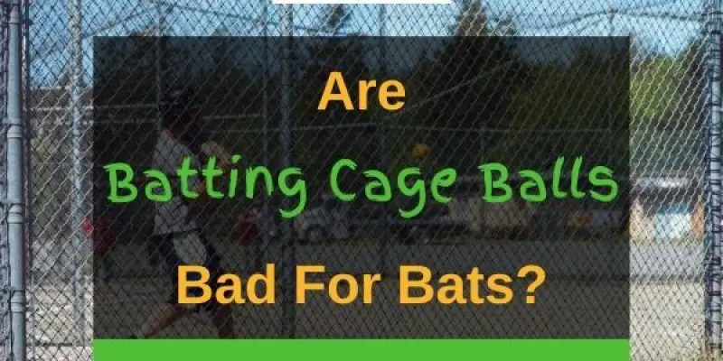Are Batting Cage Balls Bad for Bats? (Solved!)