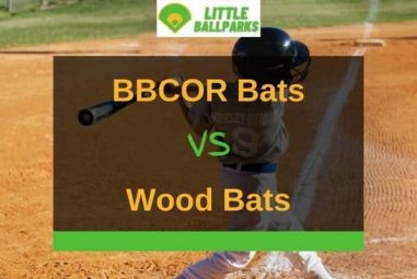 BBCOR Bat Vs Wood Bat – The Pros And Cons