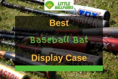 8 Best Baseball Bat Display Cases For Your Home