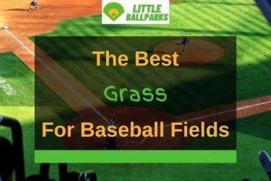 Best Grass for Baseball Fields – Top 3 Review