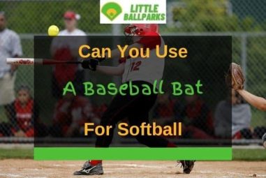 Can You Use a Baseball Bat for Softball? (Solved!)