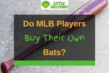 Do MLB Players Buy Their Own Bats? (Solved)
