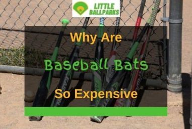 Why are Baseball Bats so Expensive? (Answered!)