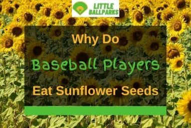 Why do Baseball Players Eat Sunflower Seeds? (3 Reasons)