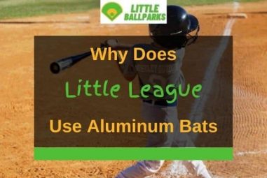 Why Does Little League Use Aluminum Bats? (Solved!)